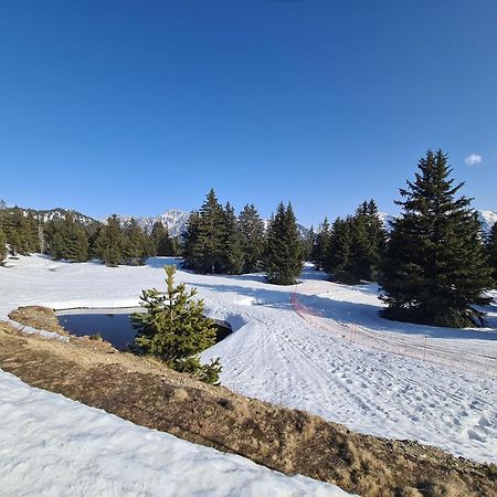 Appartement Au Pied Des Pistes Et Du Park Nordique Chamrousse Kültér fotó